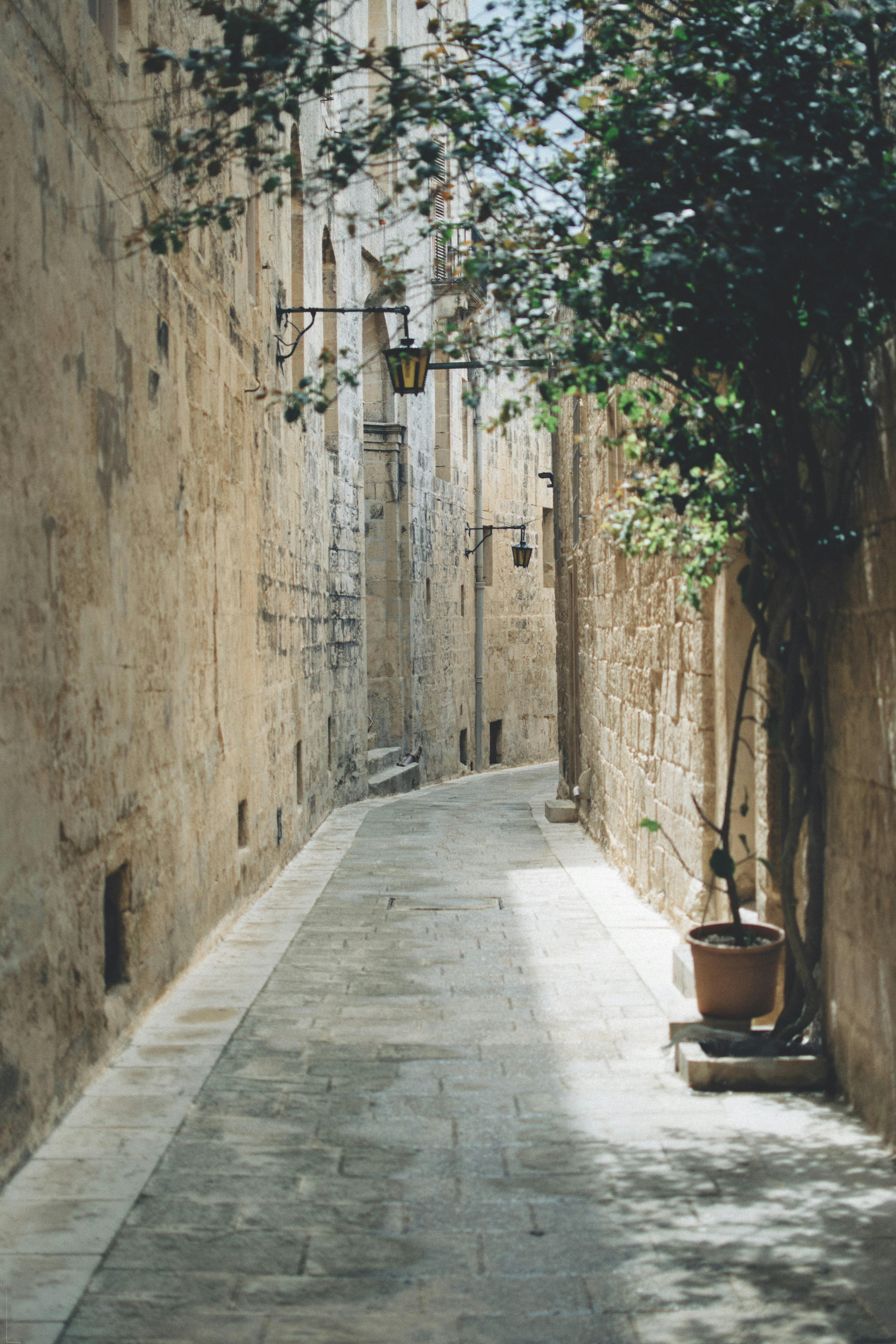 Photo by seitamaaphotography