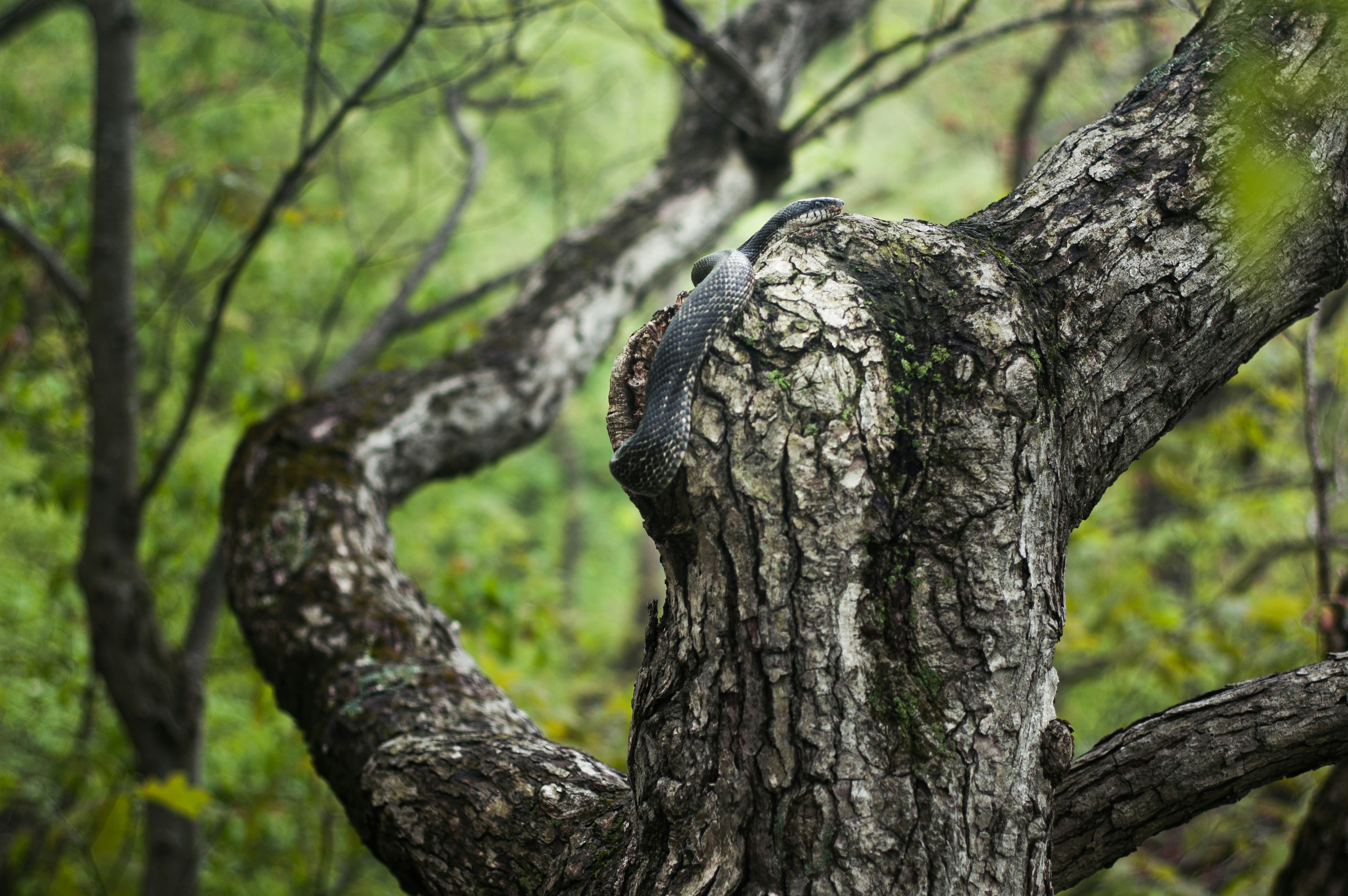 Photo by johnmathews