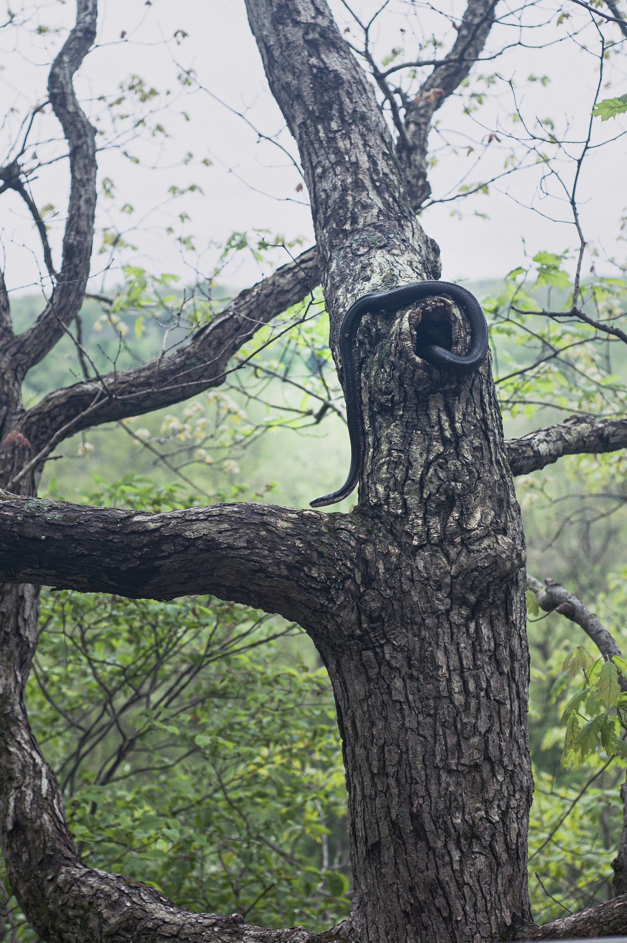 Photo by johnmathews