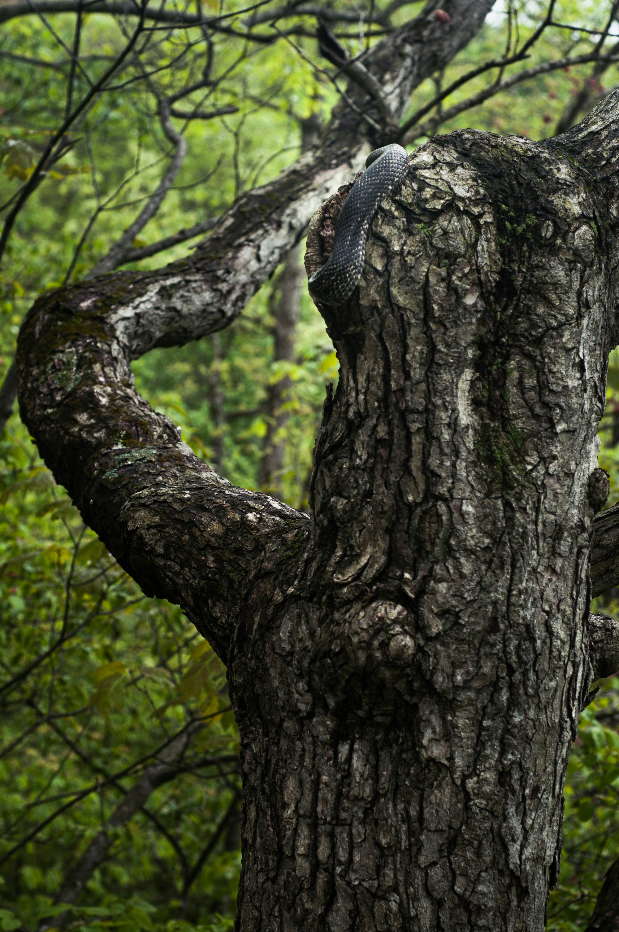 Photo by johnmathews