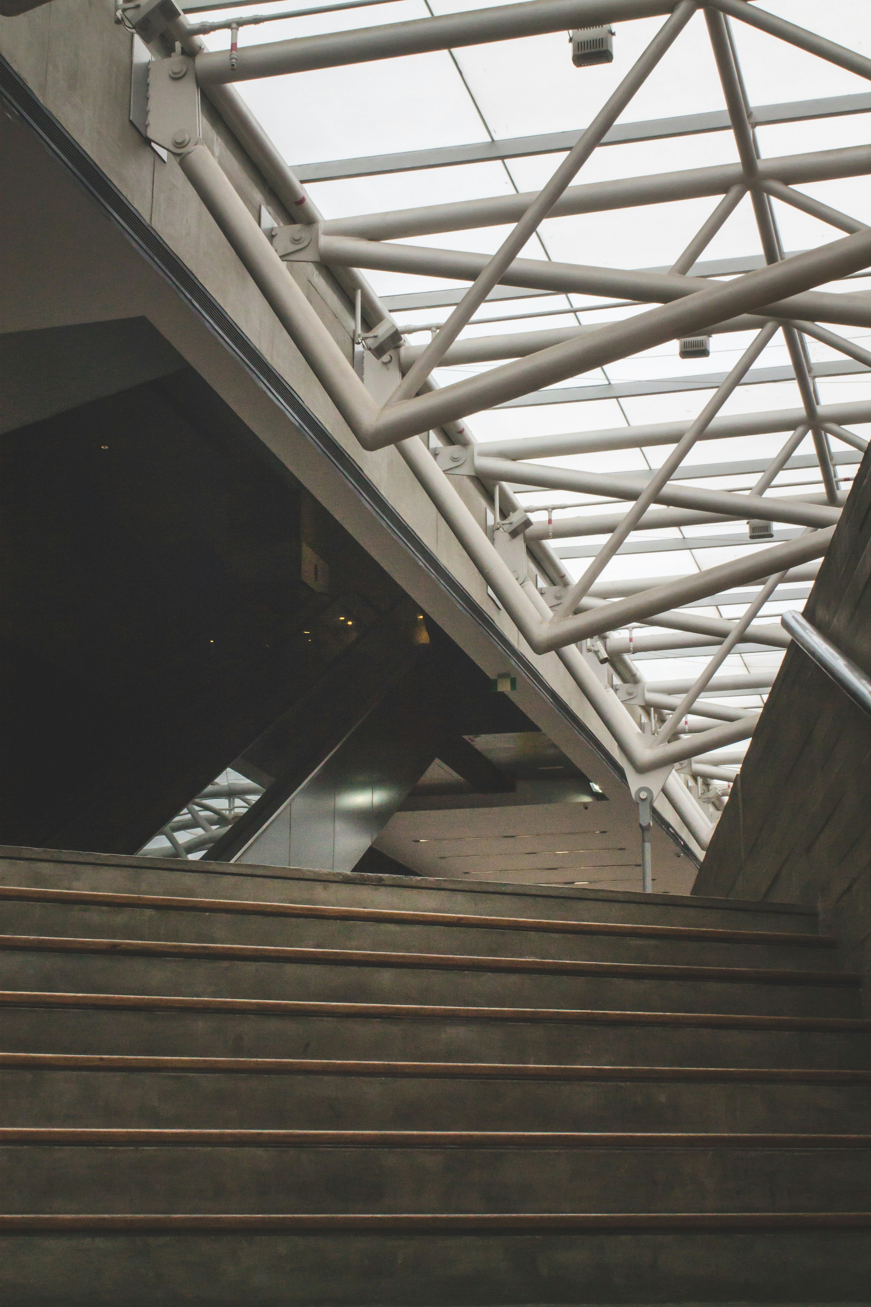 Photo by daniellemacedoo