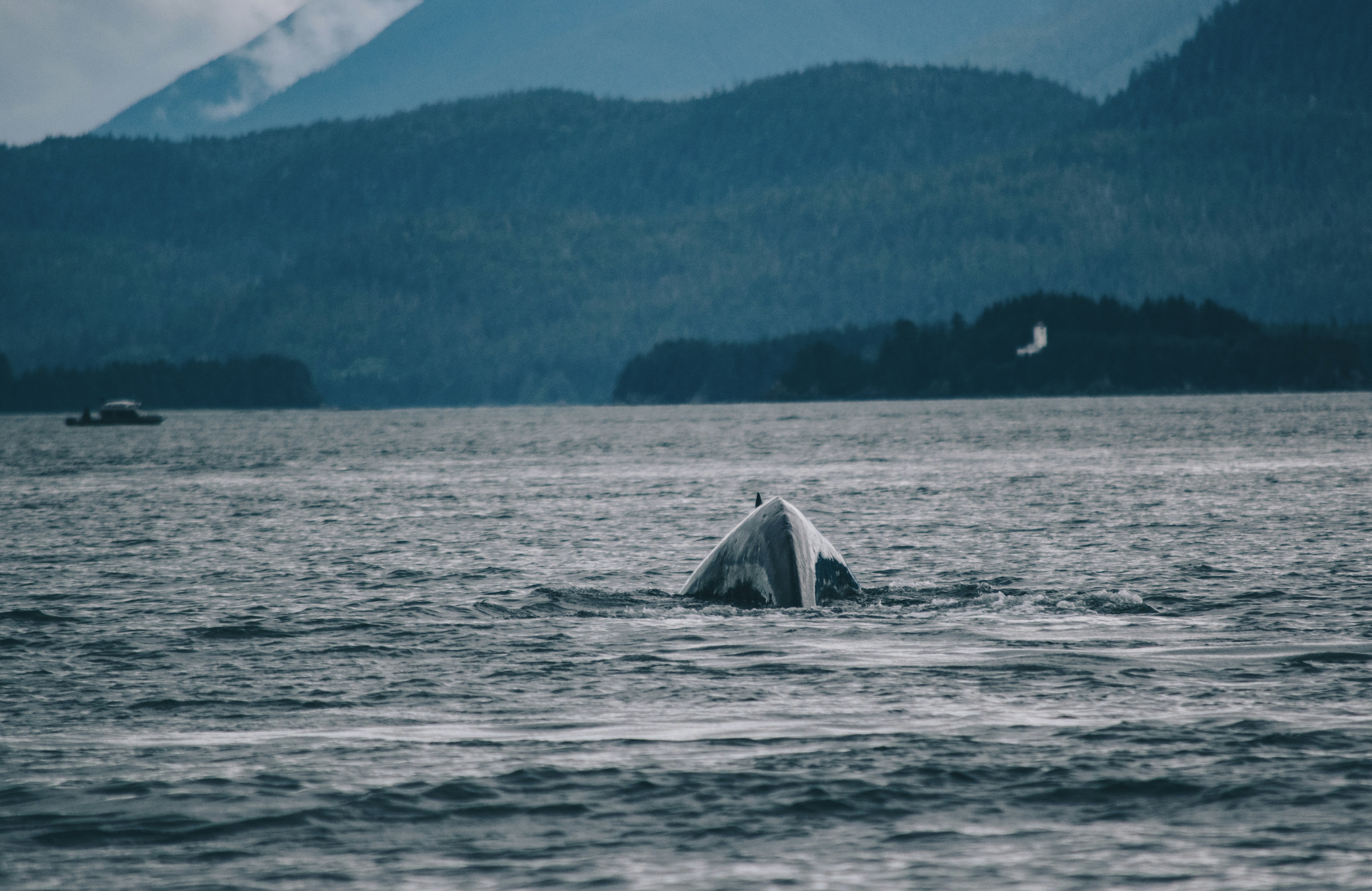 Smart Whales Align: Top Performers Go All-In On Ethereum Long Positions With Over $425M in Exposure