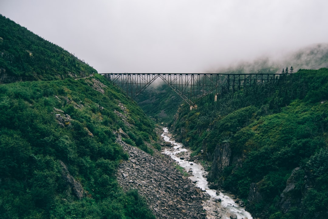 gray concrete bridge over river