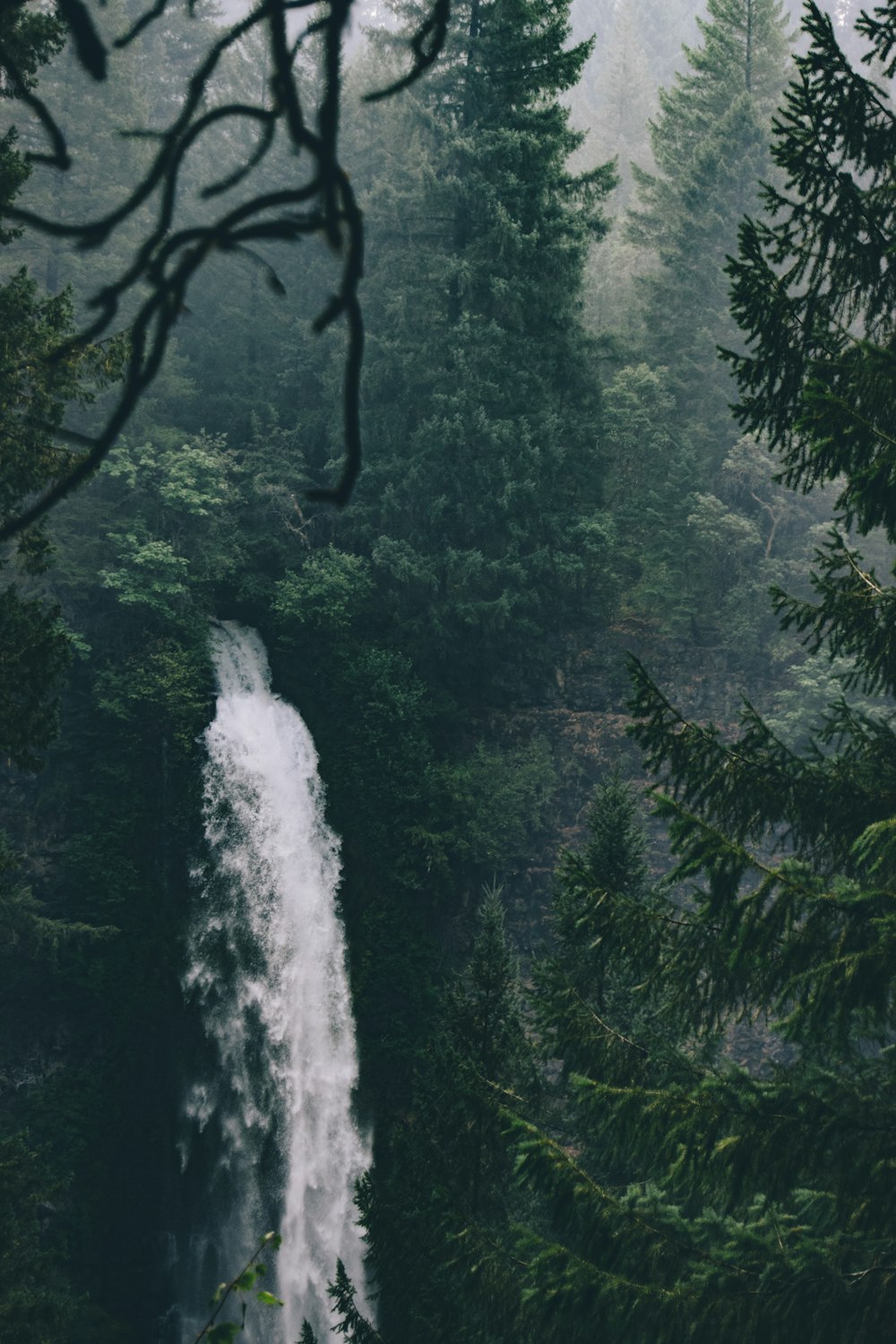 waterfalls in the middle of forest during daytime