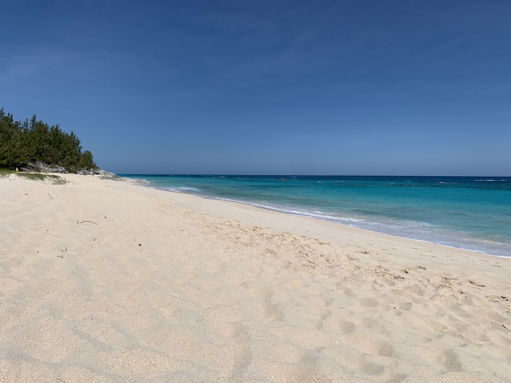 white sand beach during daytime