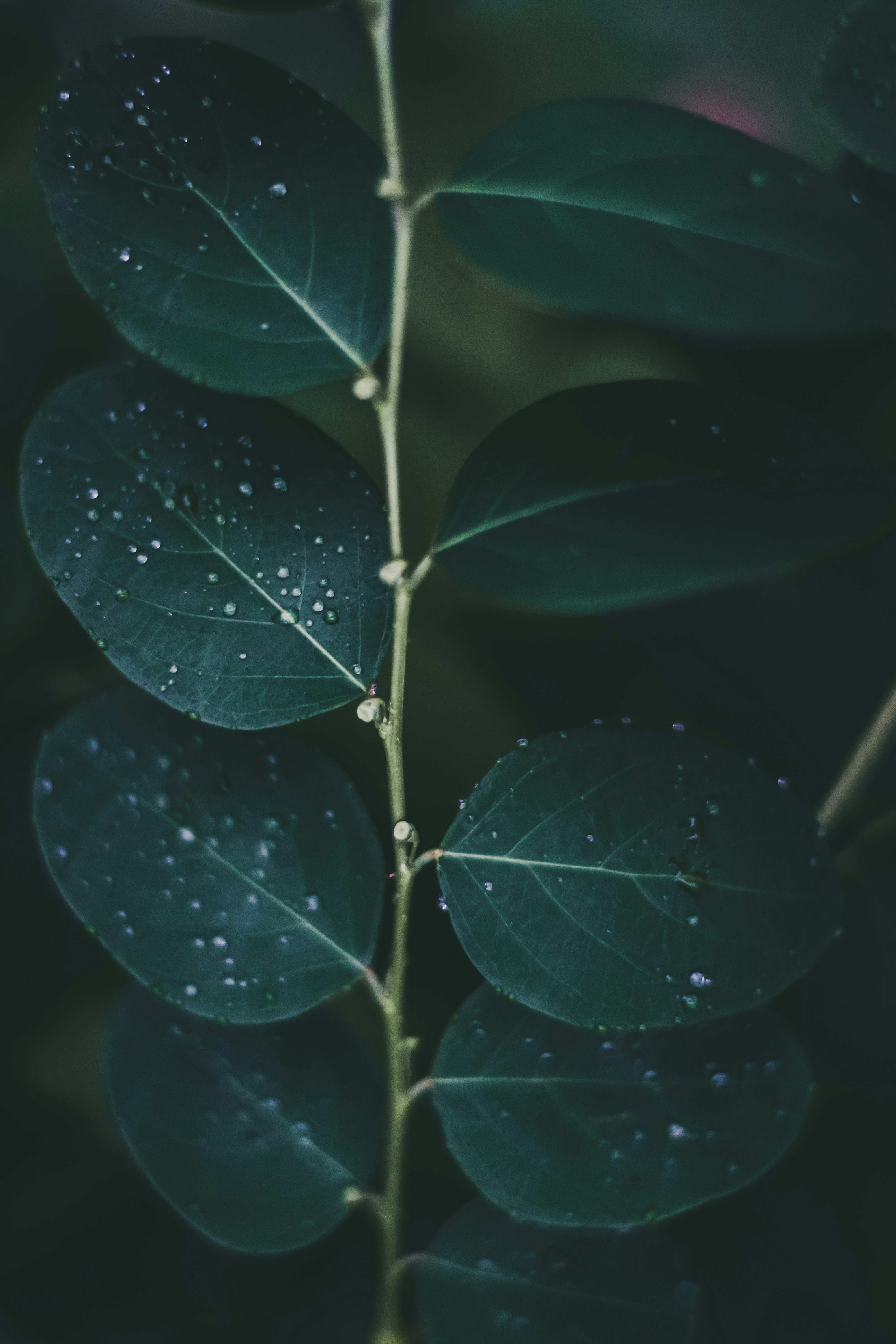 Photo by lazyartistgallery