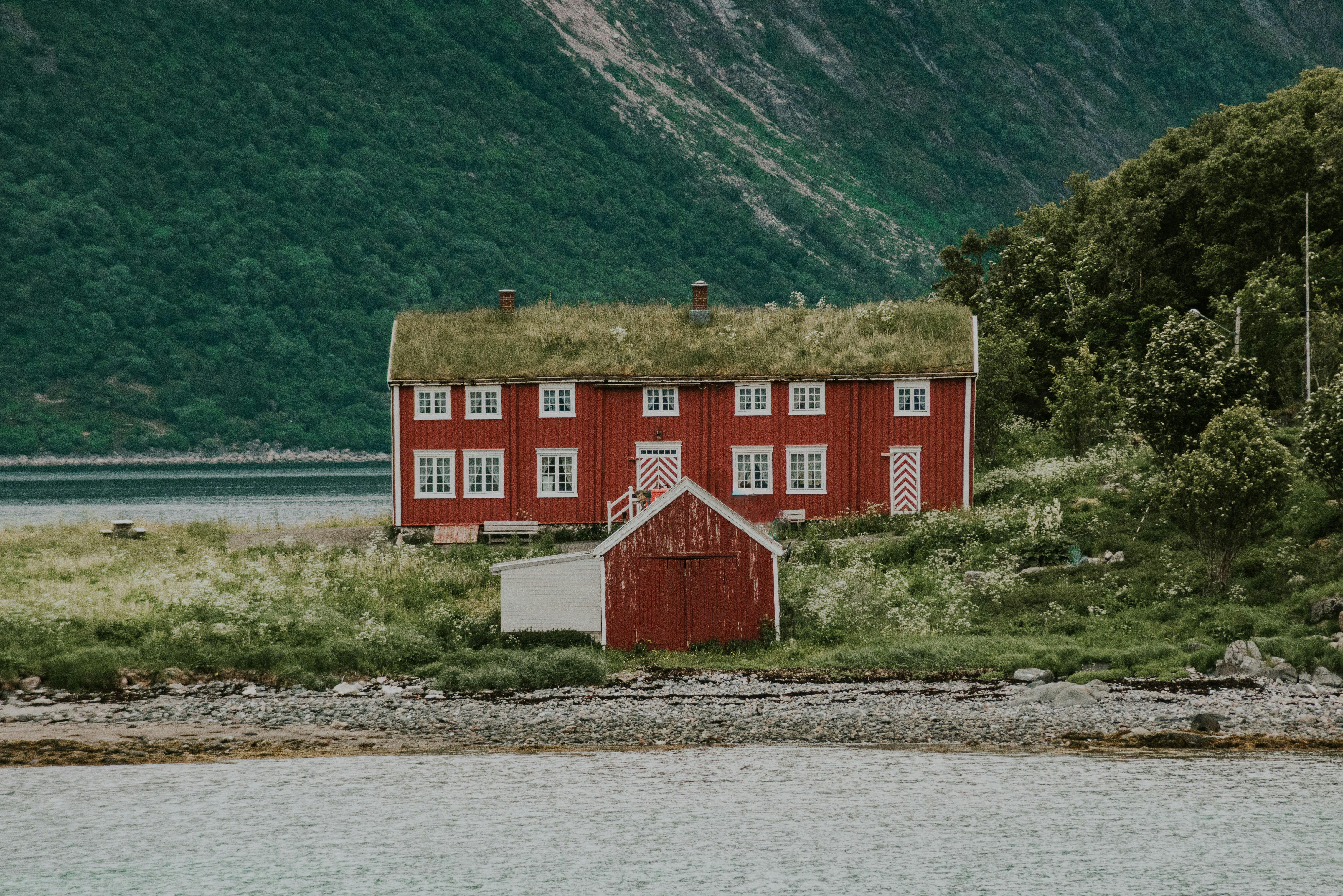 red and white wooden house near body of water during daytime