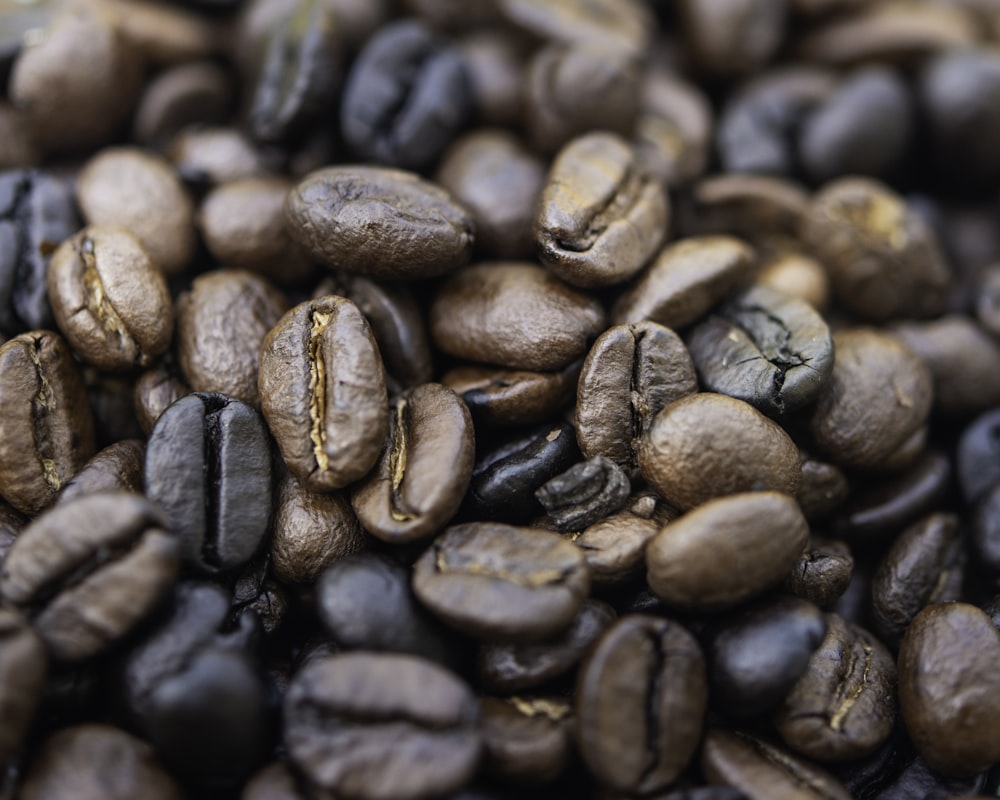 brown coffee beans in close up photography