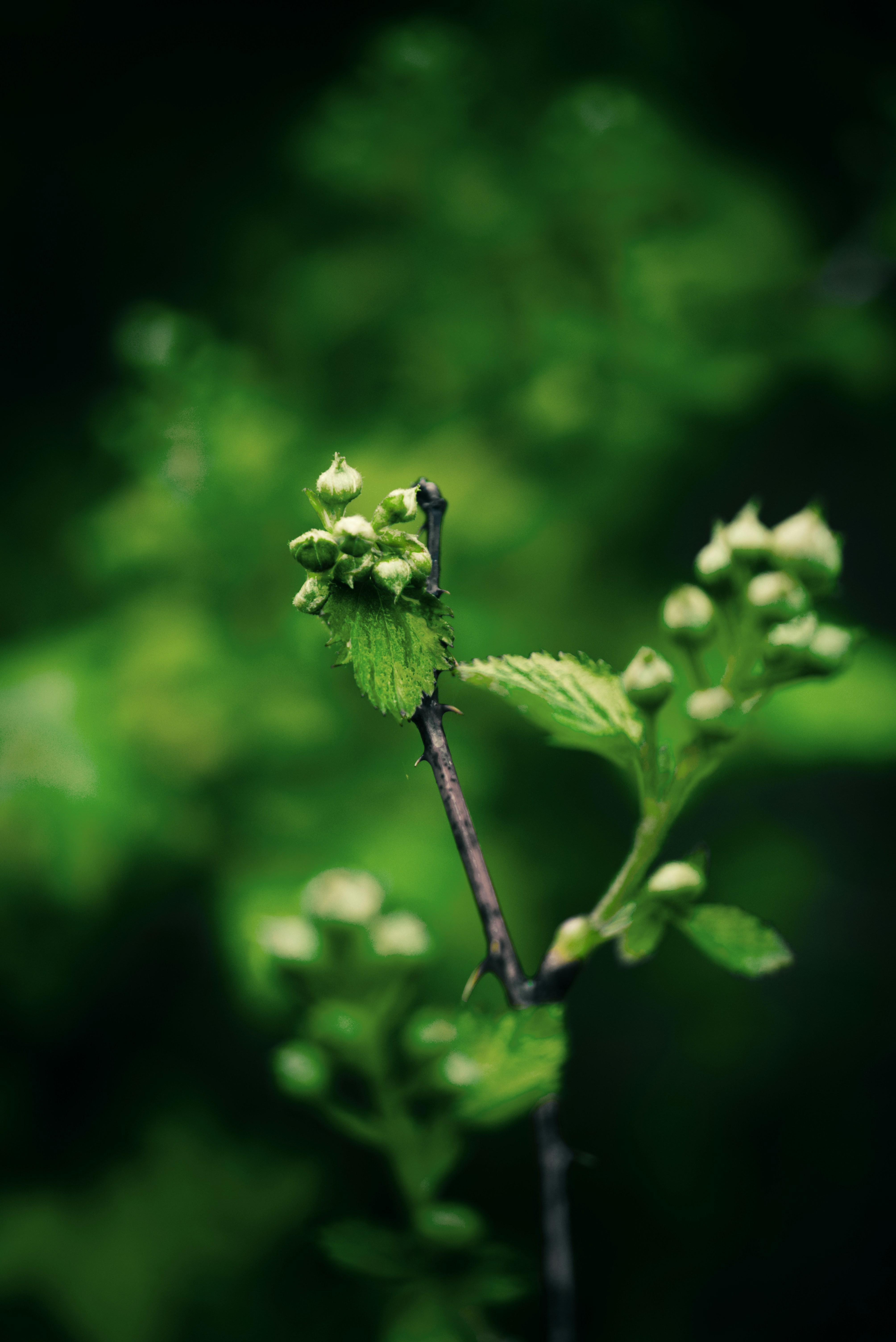 Photo by ldpeterson11