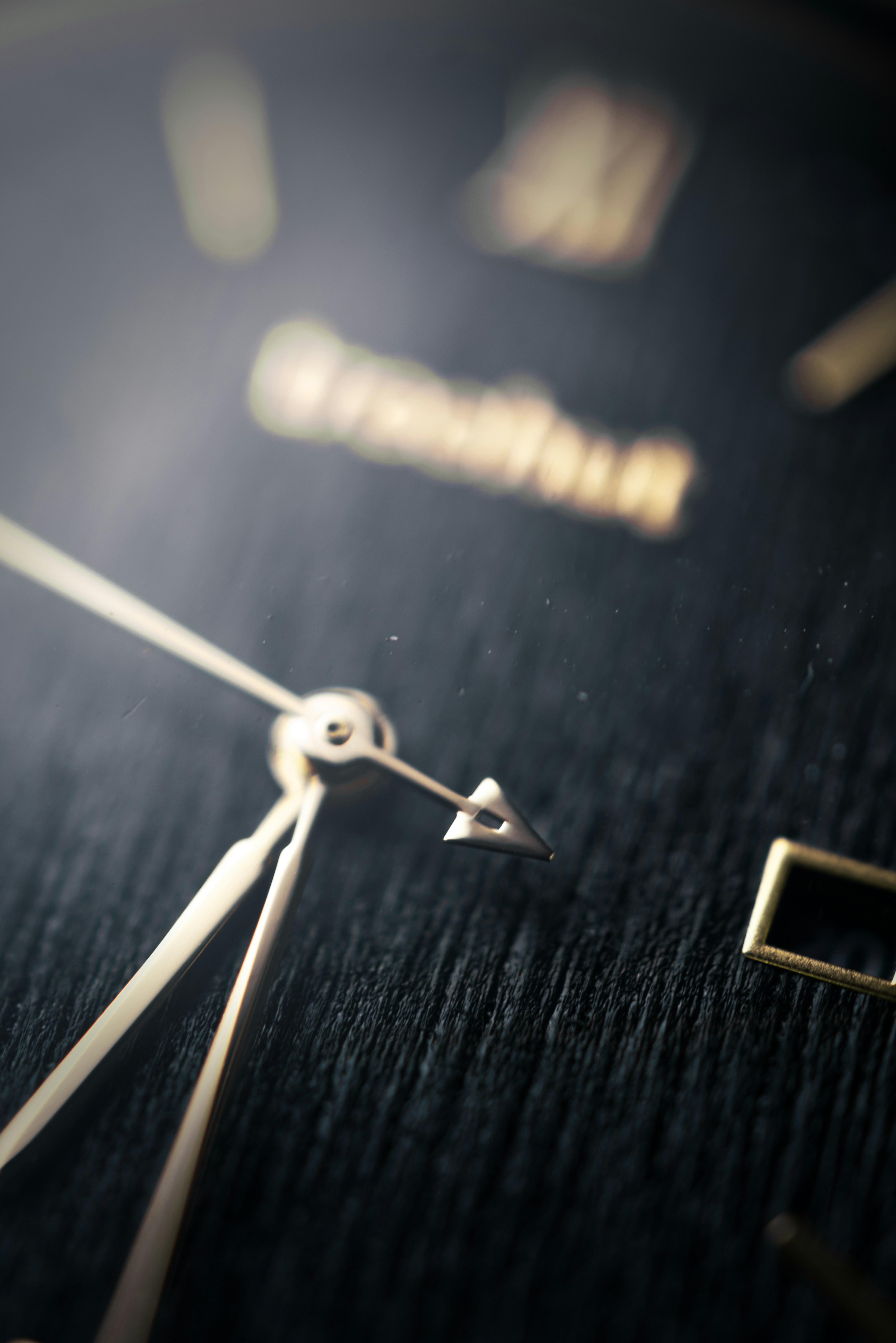 Photo by ldpeterson11