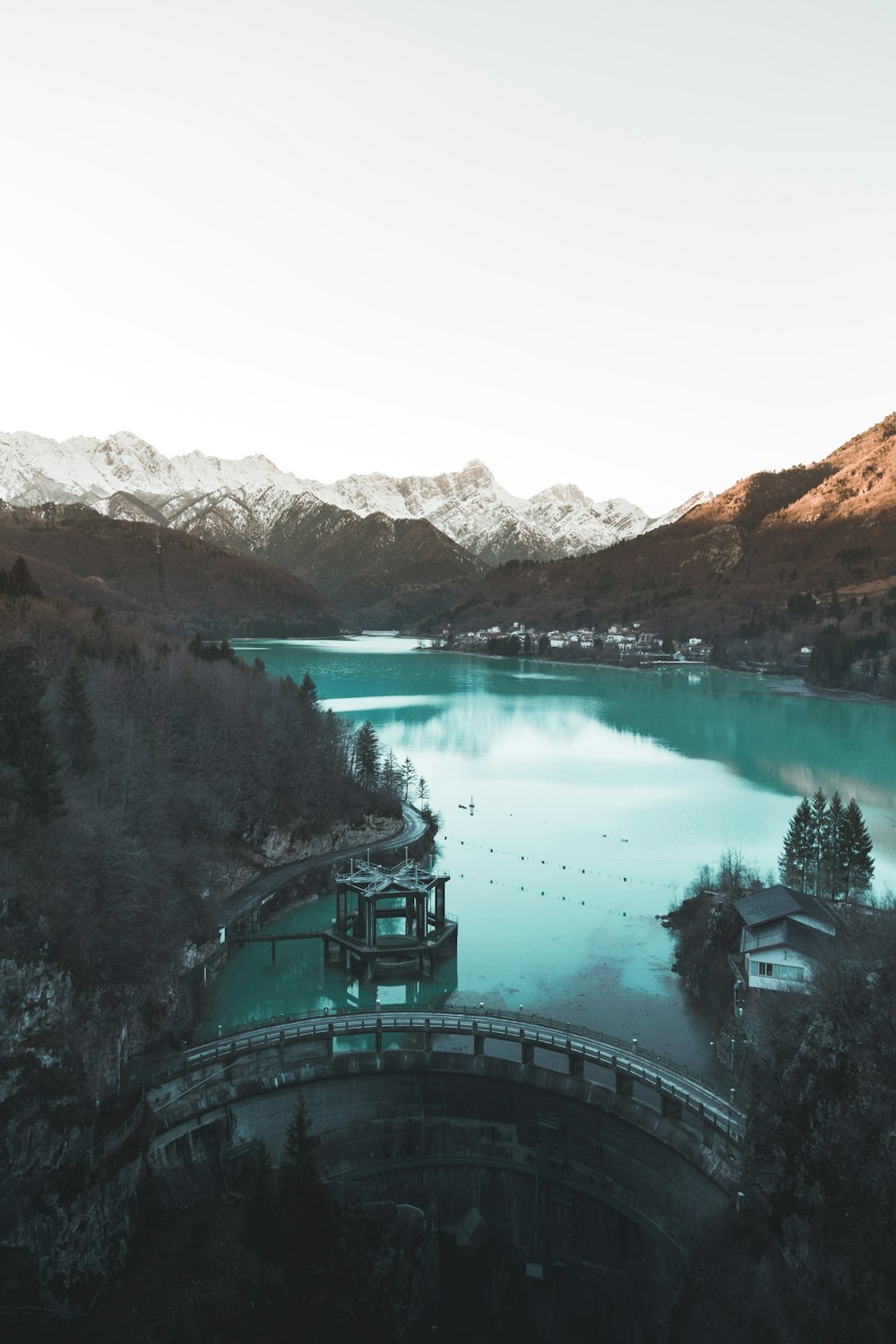 green trees near lake during daytime