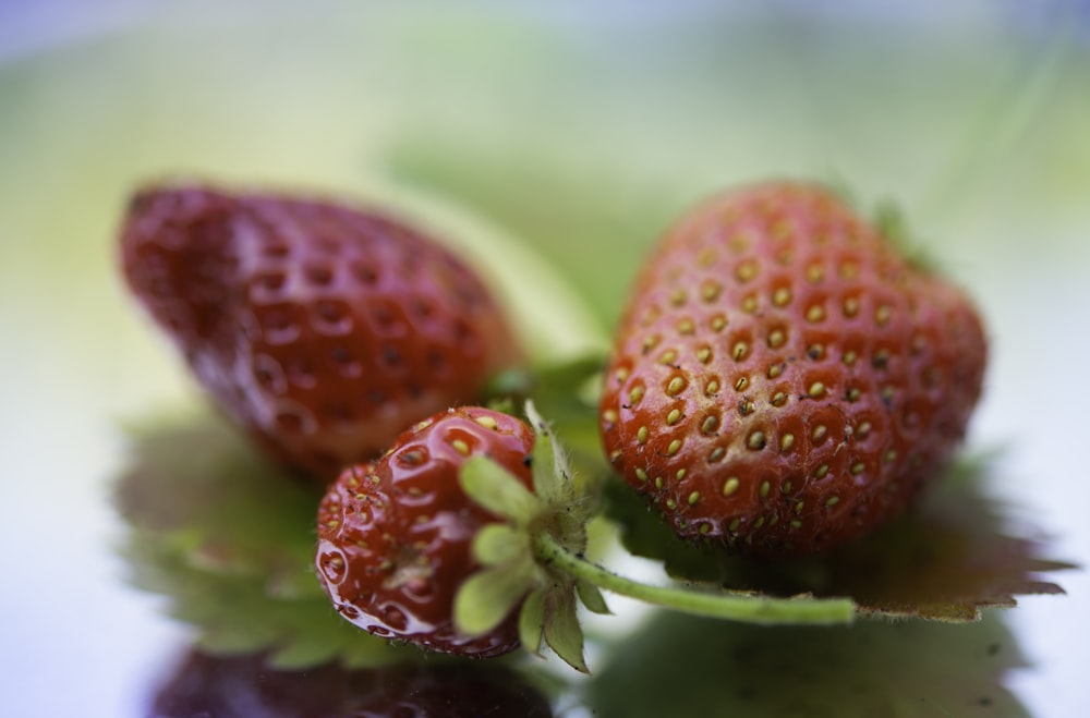 red strawberries in macro lens