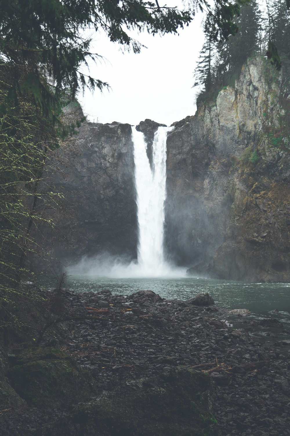 Cascades au milieu de la forêt