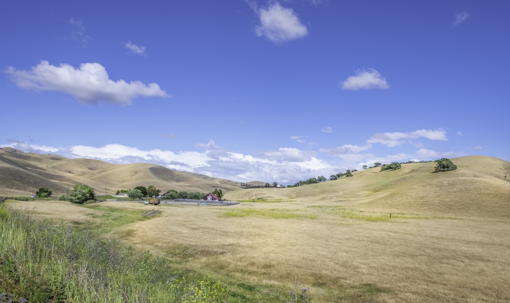 green grass field under blue sky during daytime