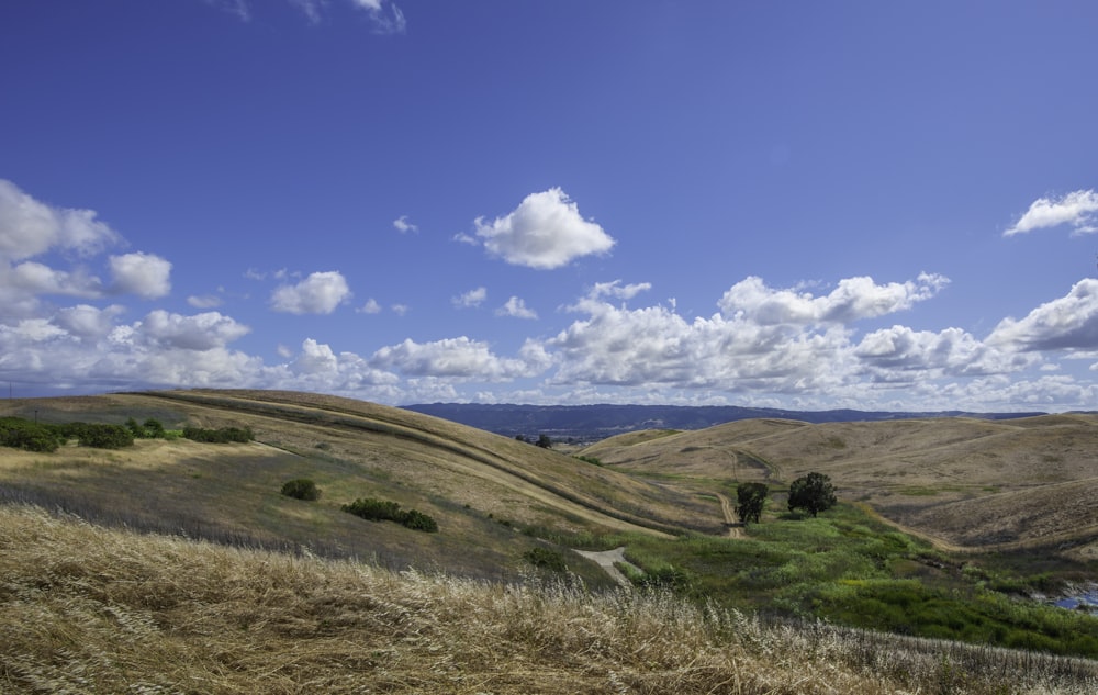 green grass field under blue sky during daytime