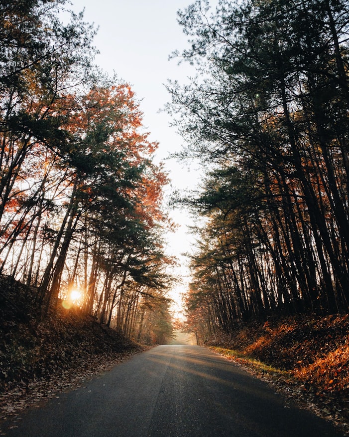 Chilhowee Mountain, Tennessee, USA