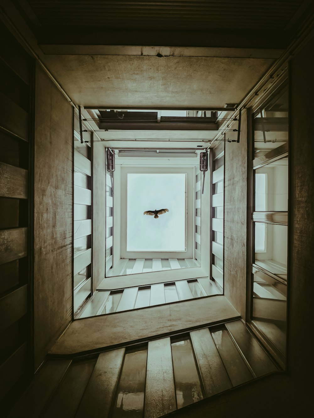 white and brown wooden ceiling