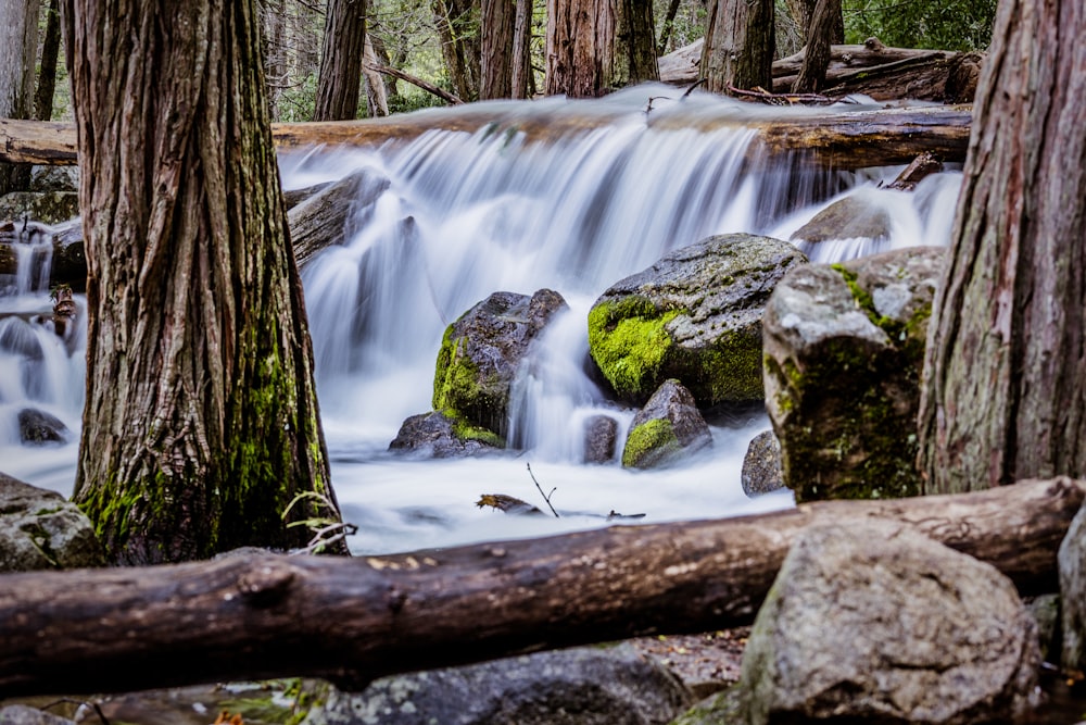 water falls in the middle of the woods