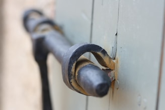 Close-up of a weathered door handle on an old, forgotten building surrounded by nature reclaiming the space.