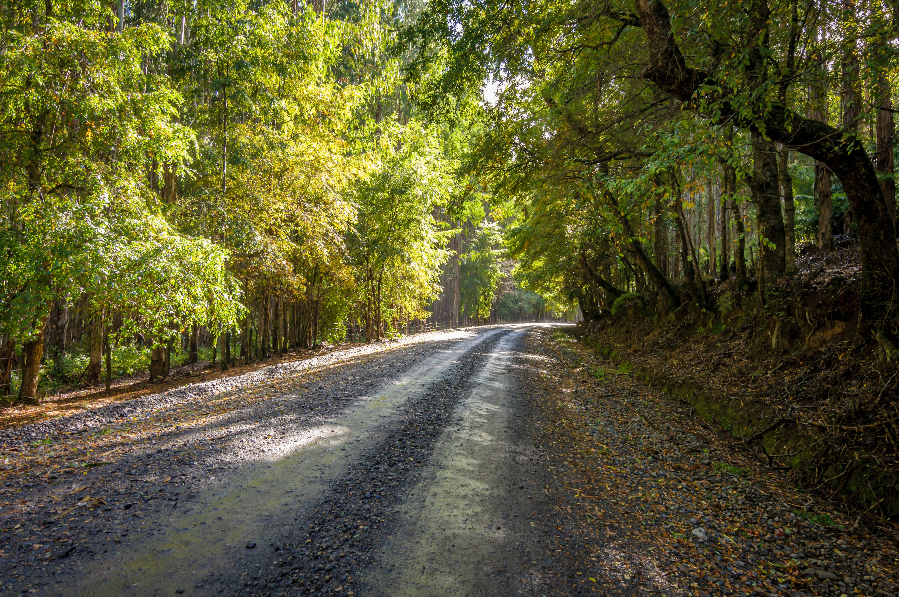 Photo by franz_nawrath