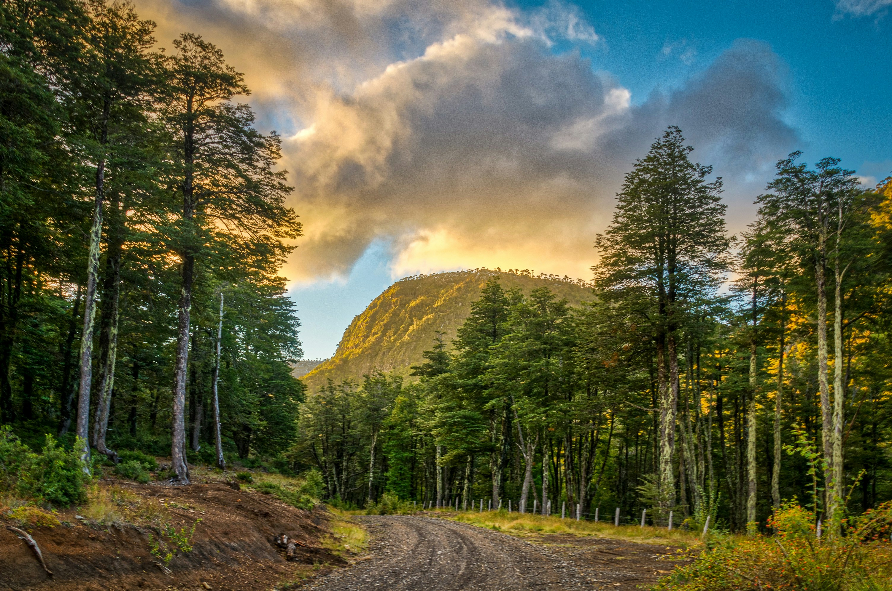 Photo by franz_nawrath