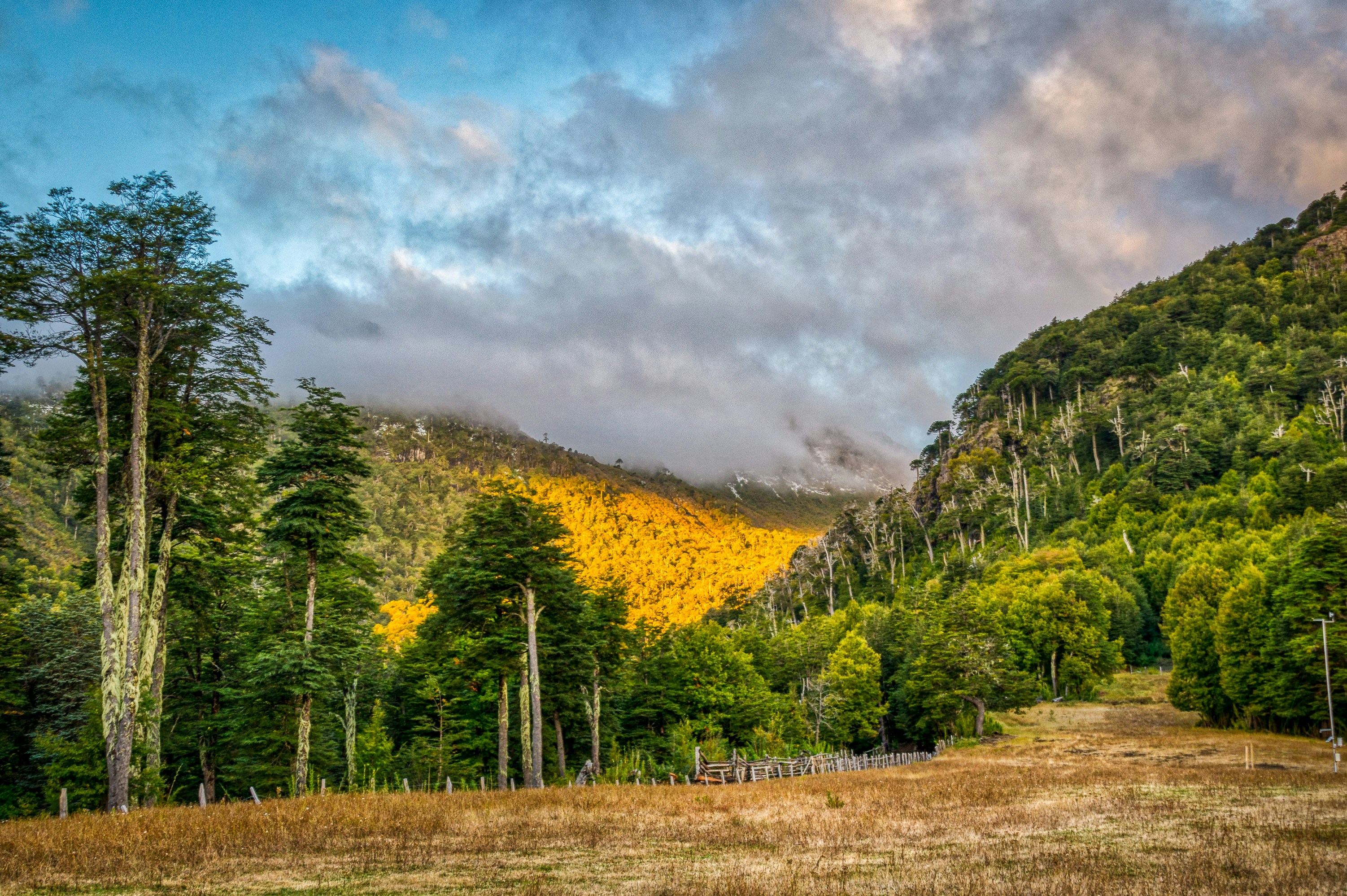 Photo by franz_nawrath