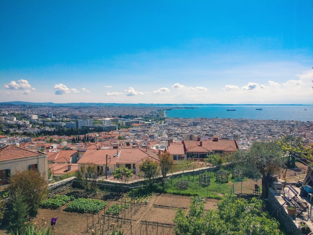 aerial view of city during daytime