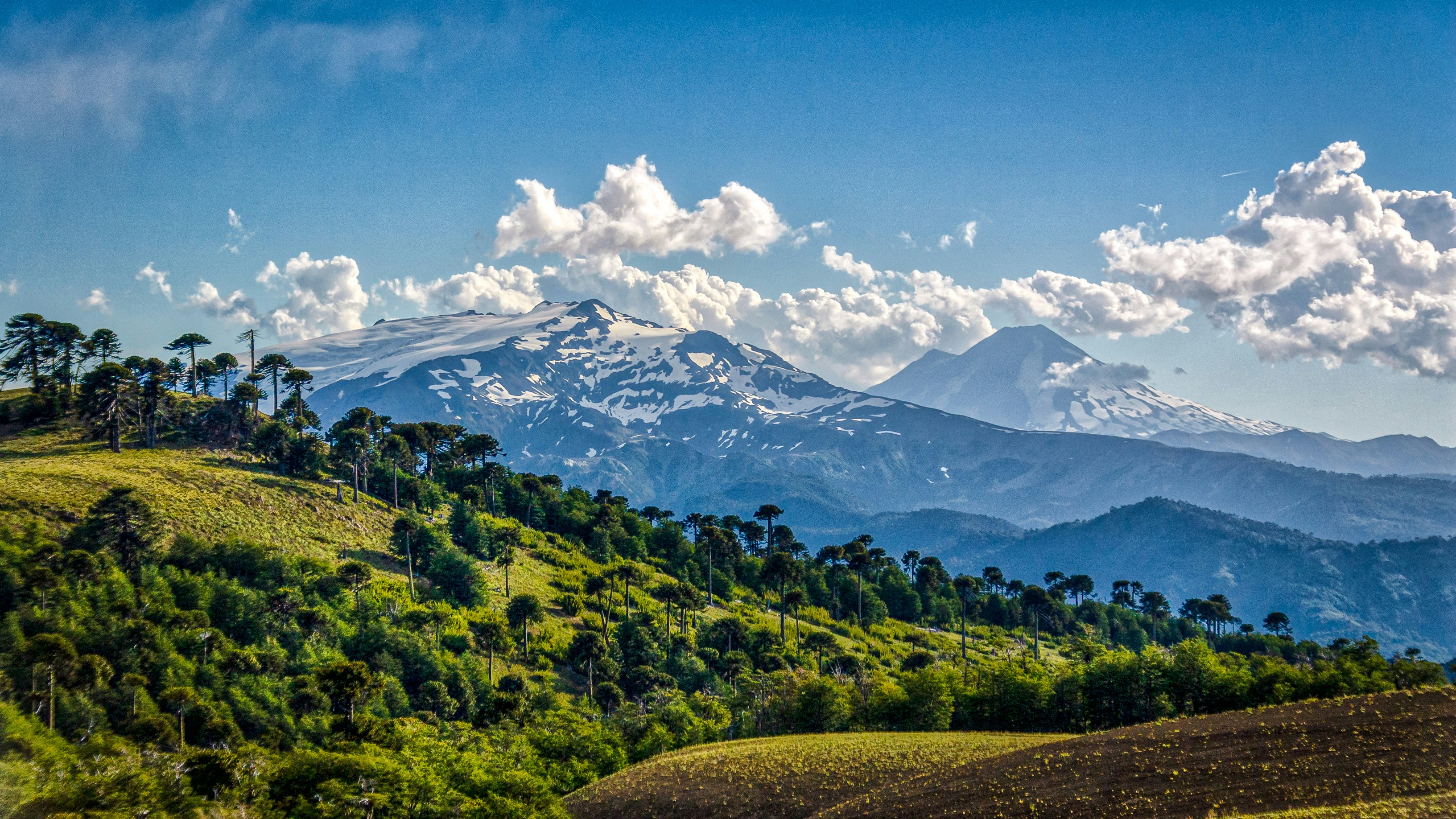 Photo by franz_nawrath