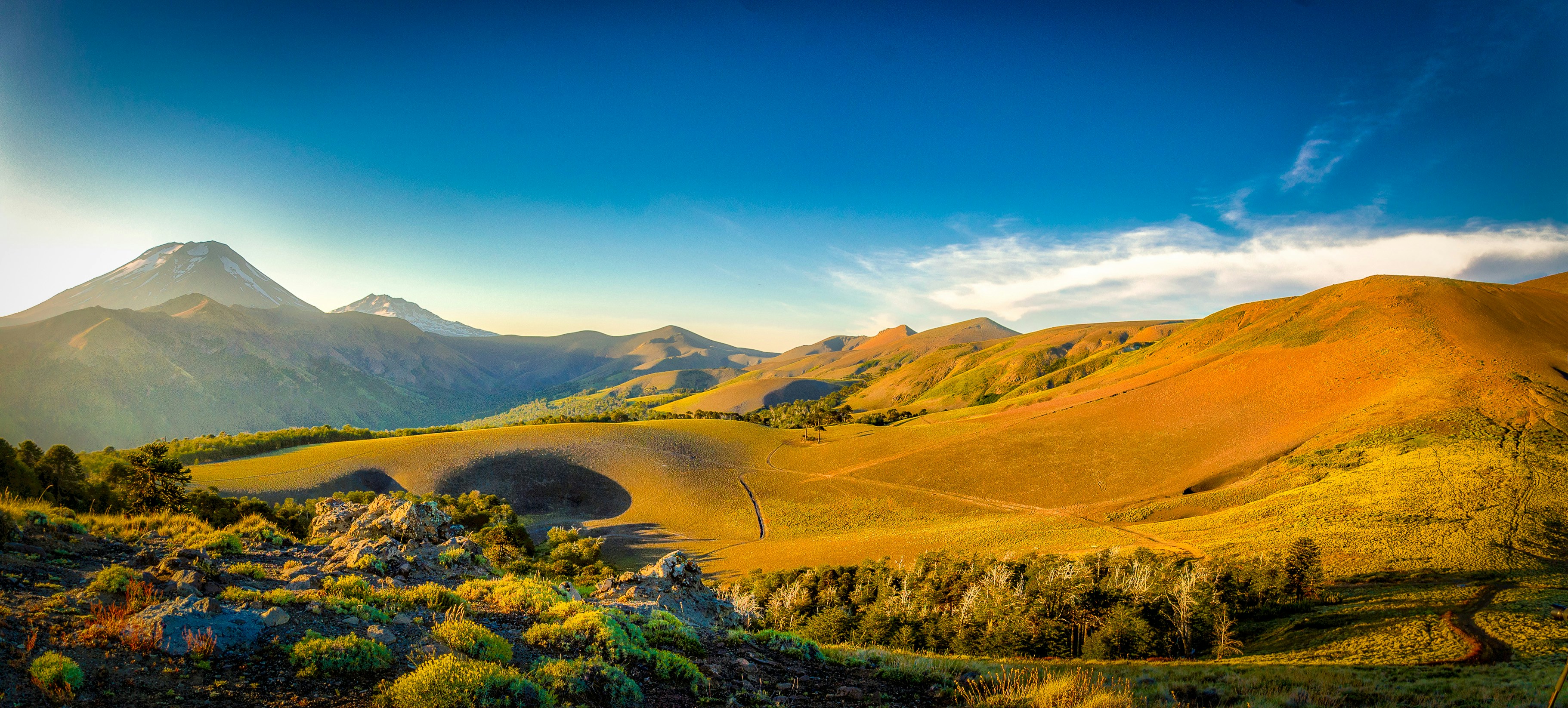 Photo by franz_nawrath