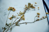 An artistic shot of a handwritten diary page with a pastel pen and dried flowers.