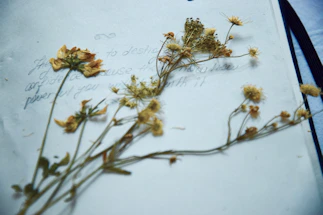 A vintage-inspired watercolor illustration of a delicate wildflower bouquet beside an open handwritten letter on rustic wood.