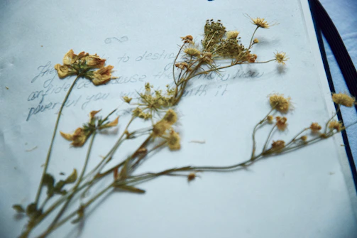 A vintage-inspired watercolor illustration of a delicate wildflower bouquet beside an open handwritten letter on rustic wood.