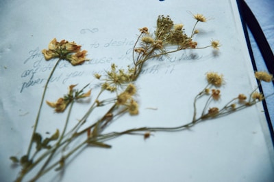 An artistic photo of a handwritten poem on textured paper with a purple flower resting on top.