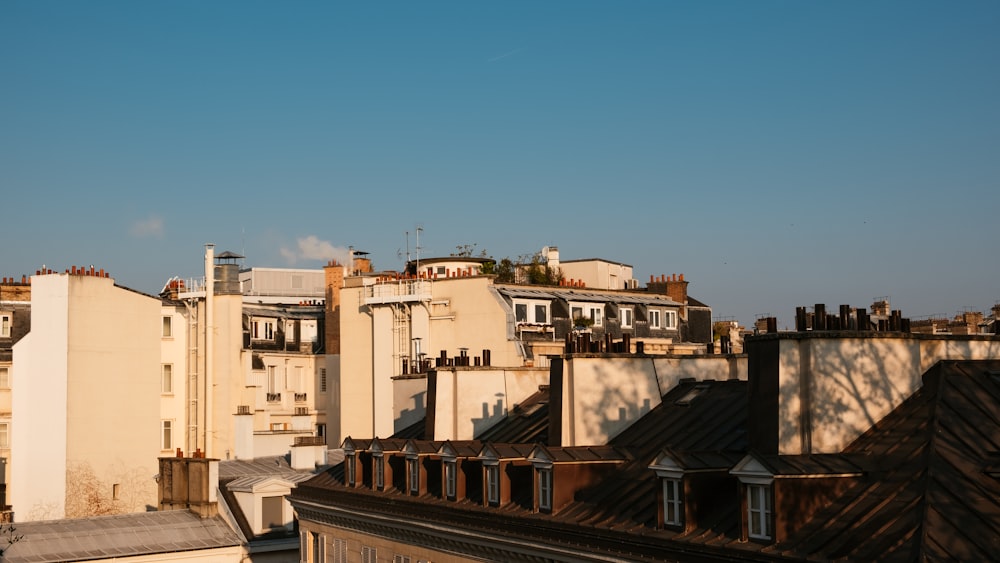 white concrete building under blue sky during daytime