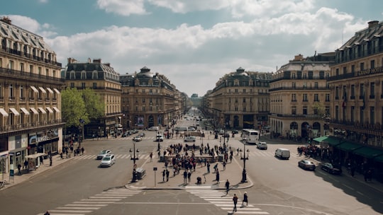 people walking on street near building during daytime in Jardin des Plantes France