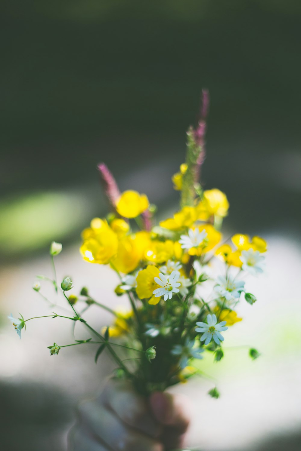 yellow flowers with green leaves