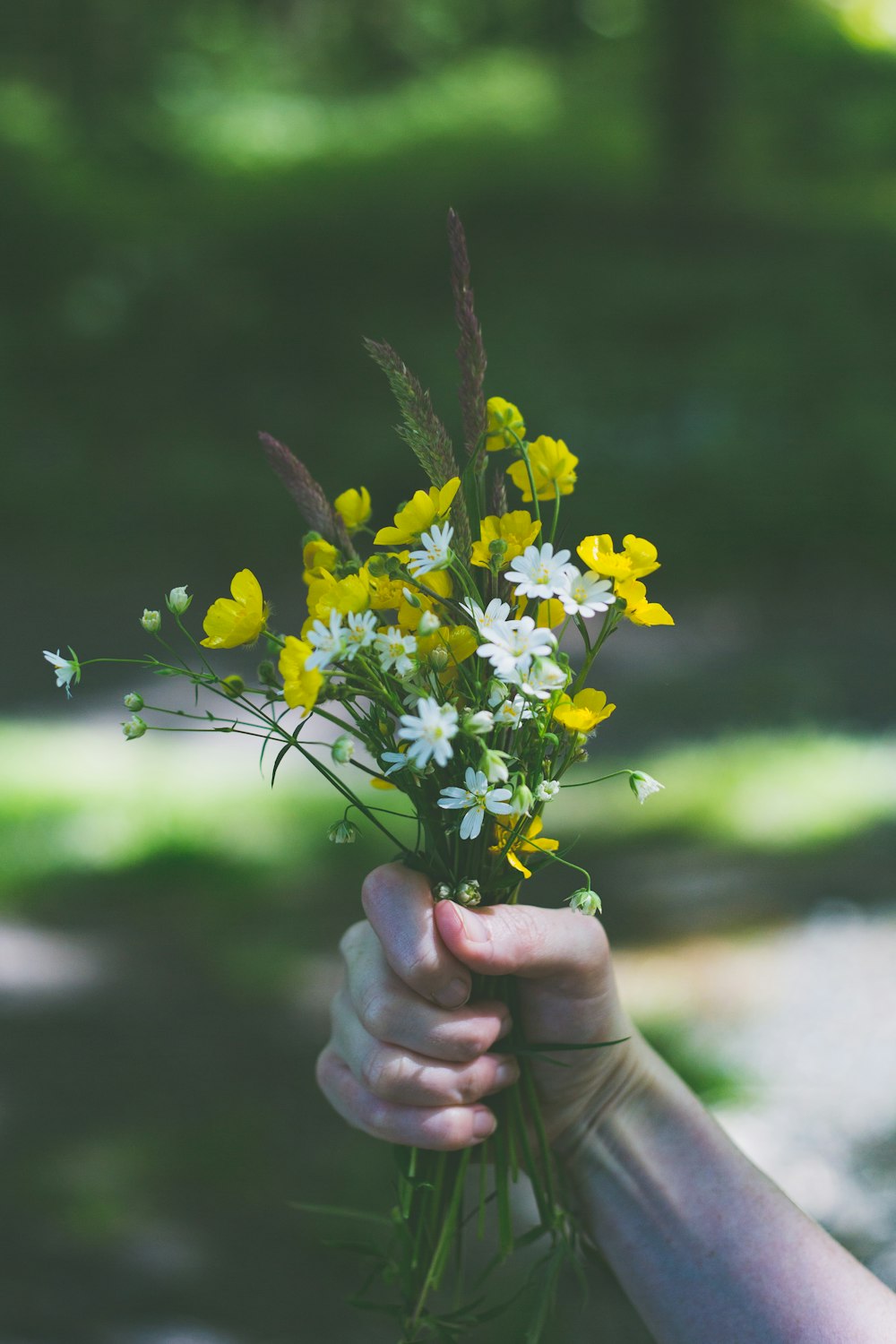 person holding yellow flowers during daytime