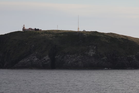 white and brown lighthouse on top of hill by the sea in Cabo de Hornos Chile