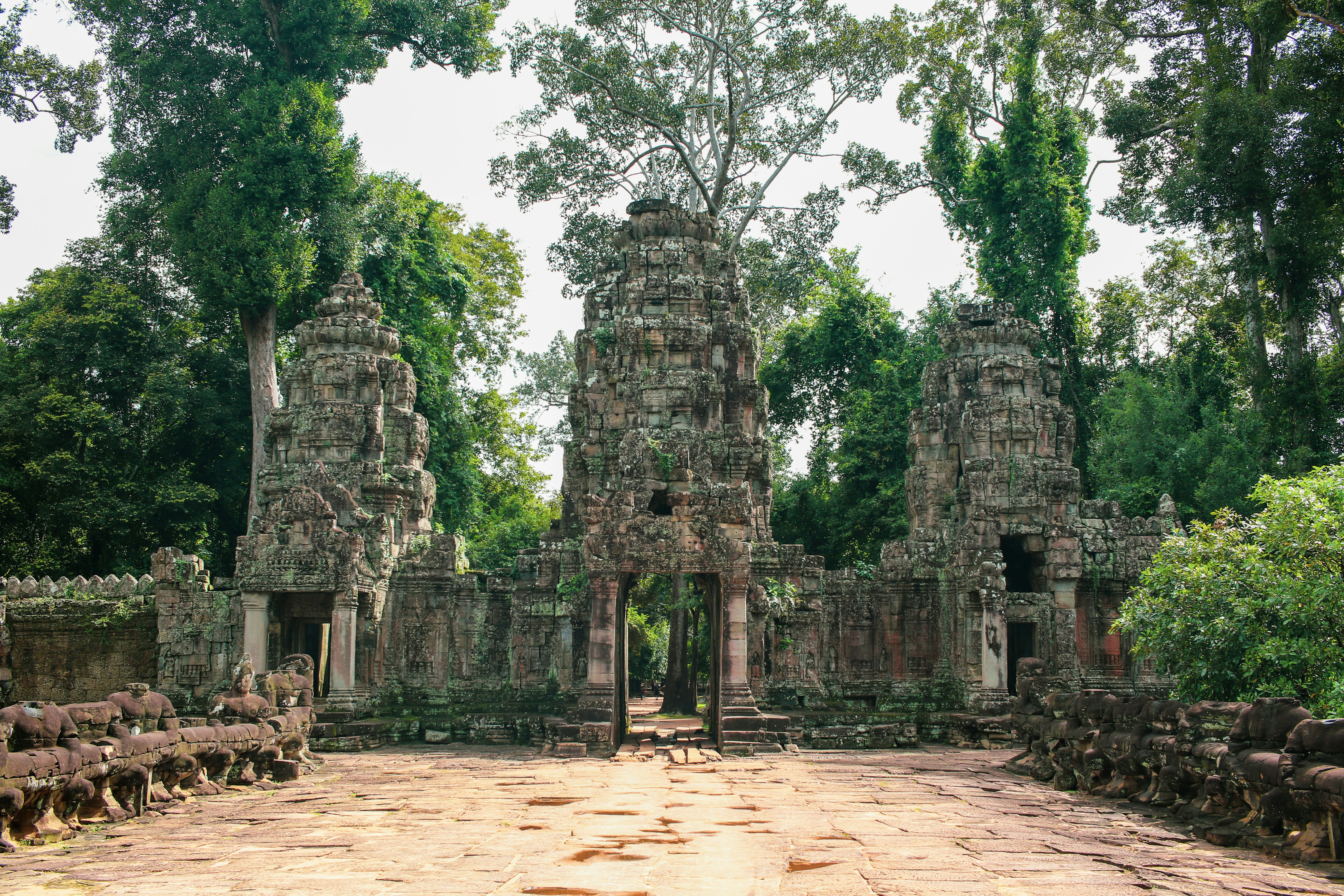 Siem Reap, Cambodia cover image