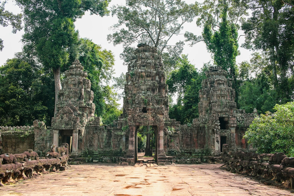 Bâtiment en béton brun près d’arbres verts pendant la journée