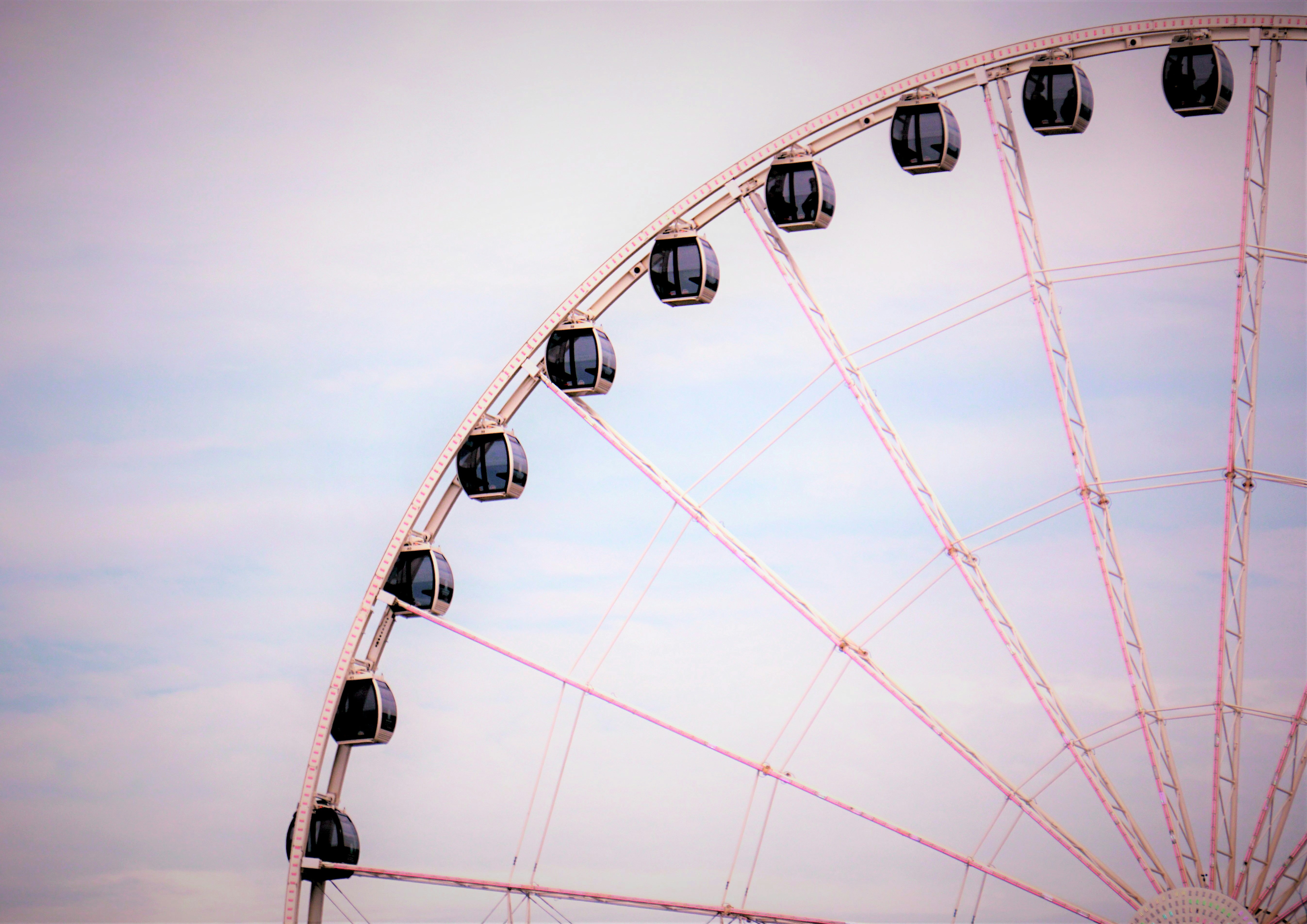 Photo by courtneyam98