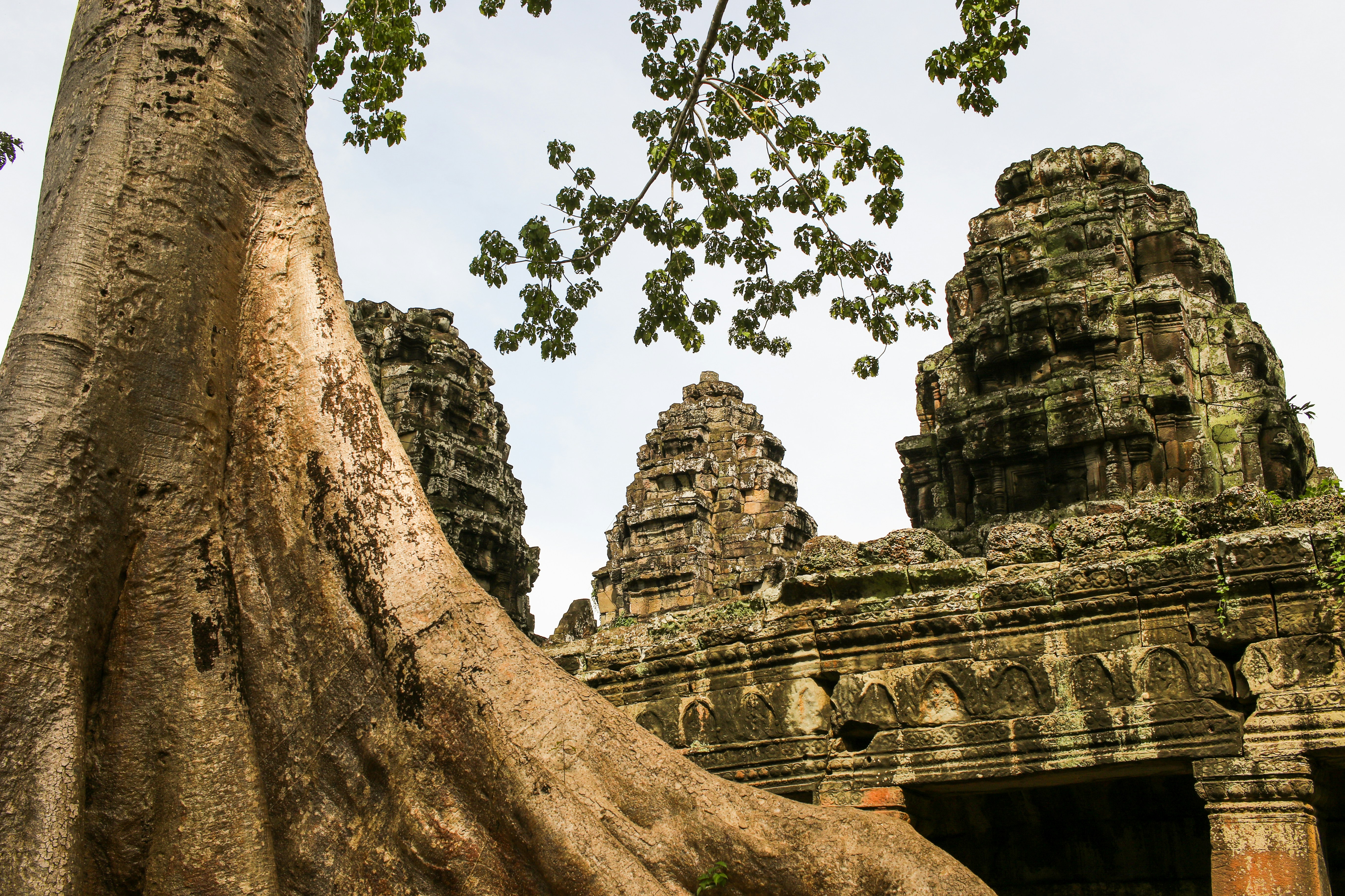 Photo by colt10jordan