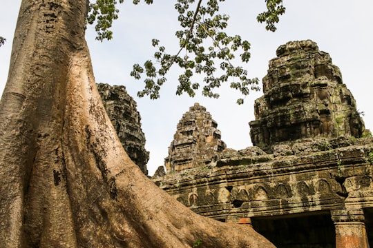 brown rock formation near green trees during daytime in Siem Reap Cambodia