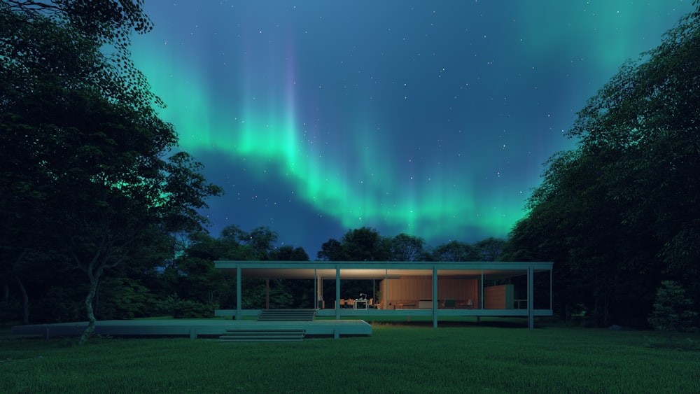 green grass field with trees and brown wooden house under blue sky with stars during night