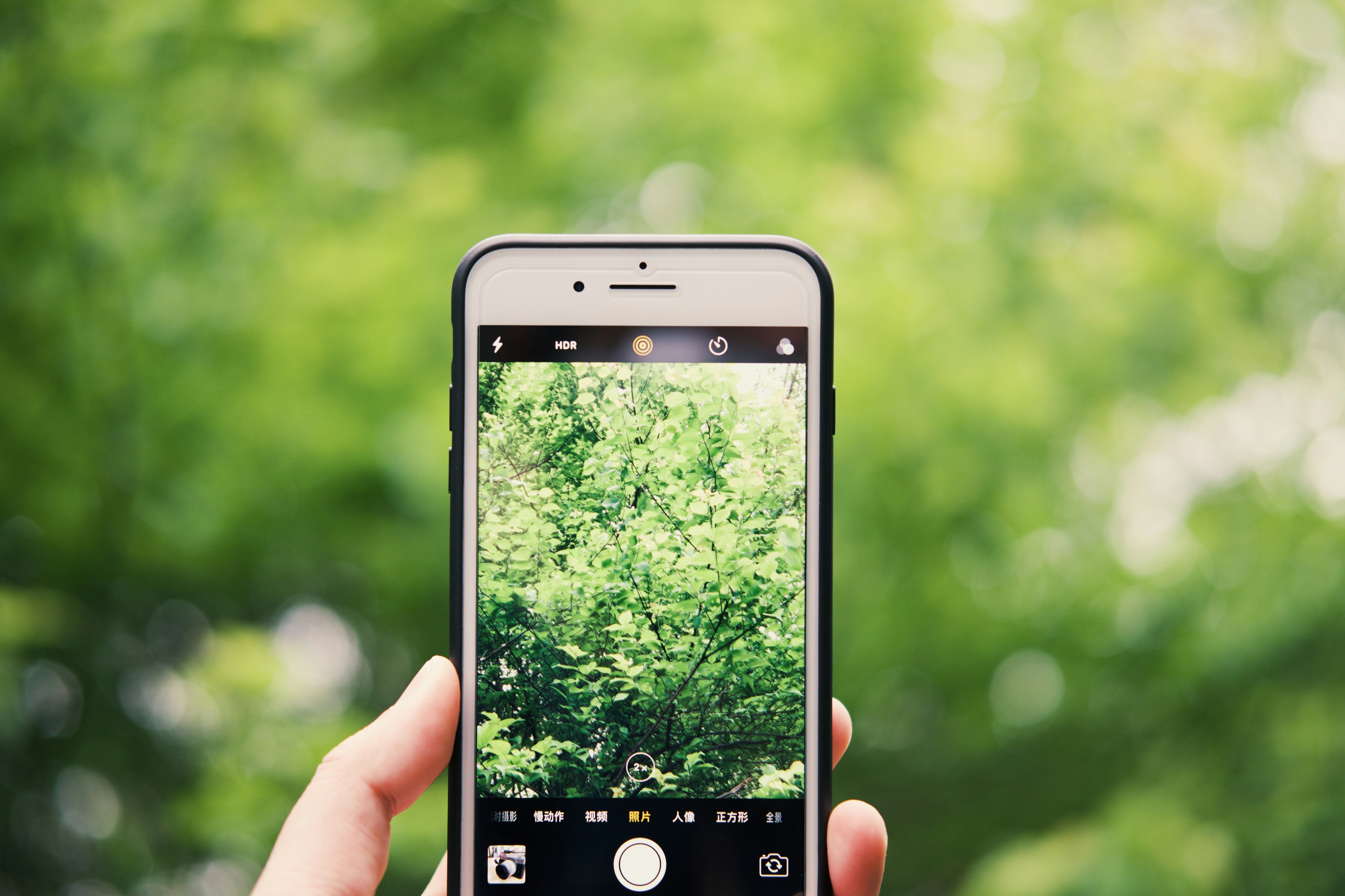 Choose from a curated selection of yellow wallpapers for your mobile and desktop screens. Always free on Unsplash.