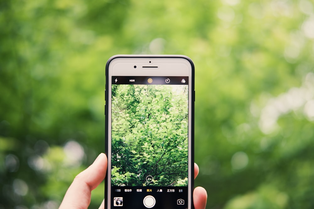 person holding silver iphone 6