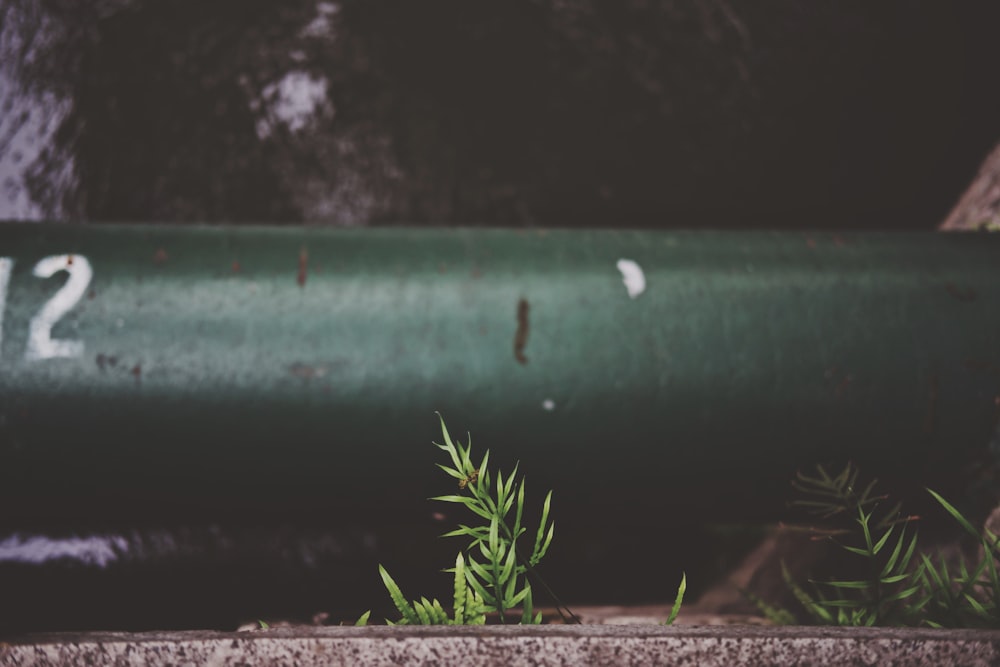 green metal pipe on brown soil