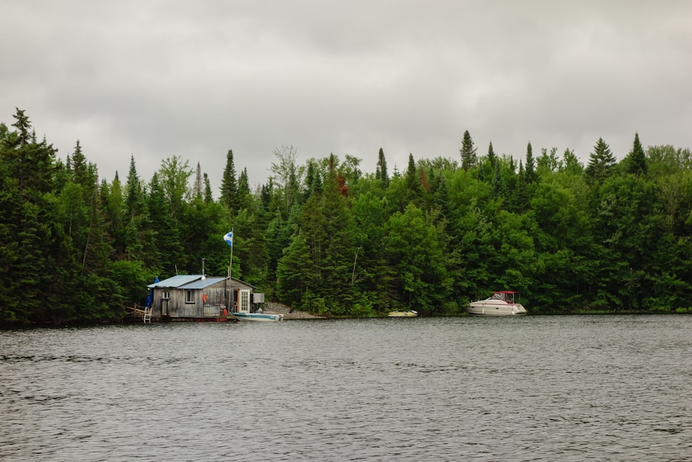 white boat on body of water near green trees during daytime