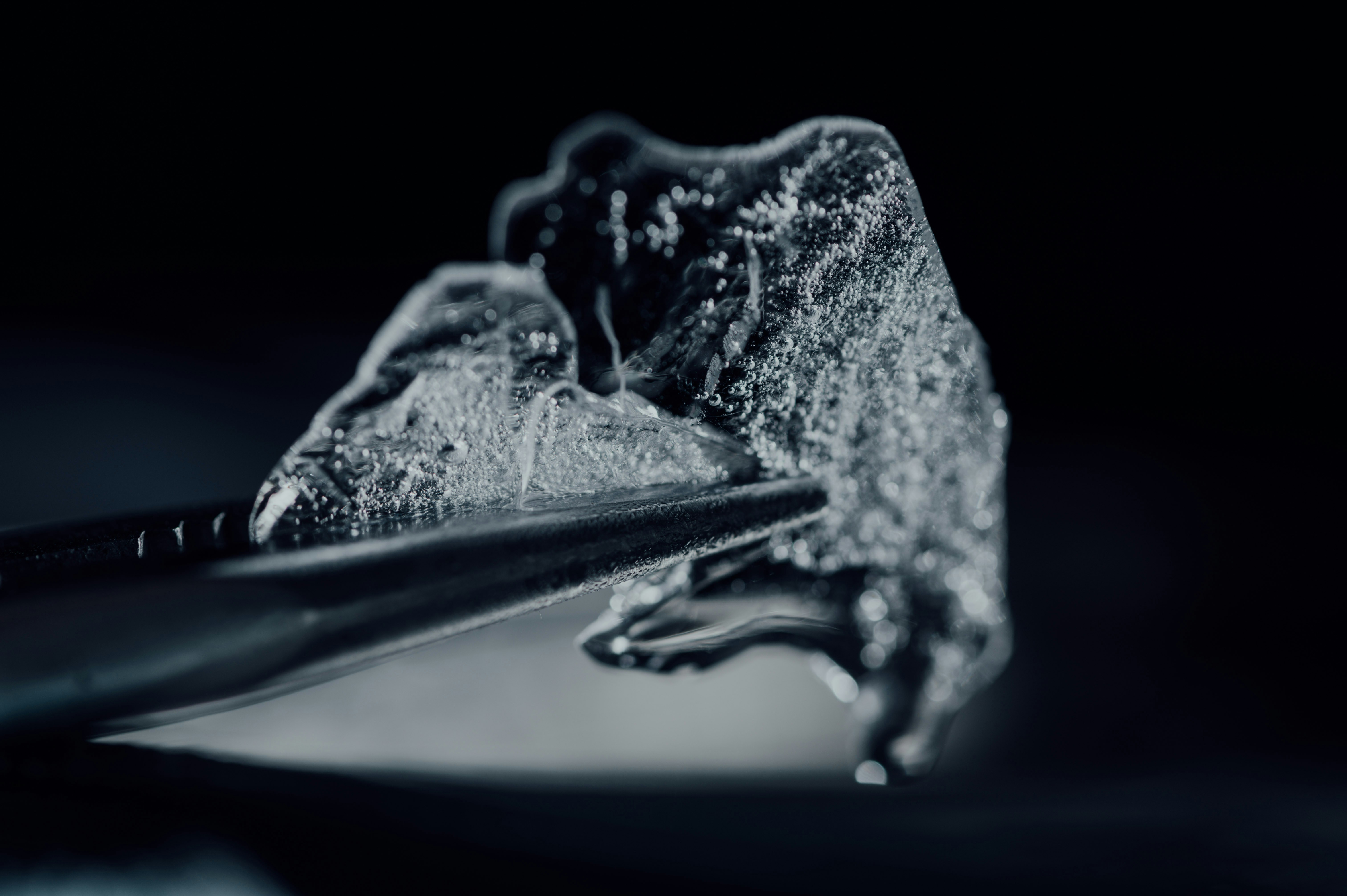 Photo by chuttersnap