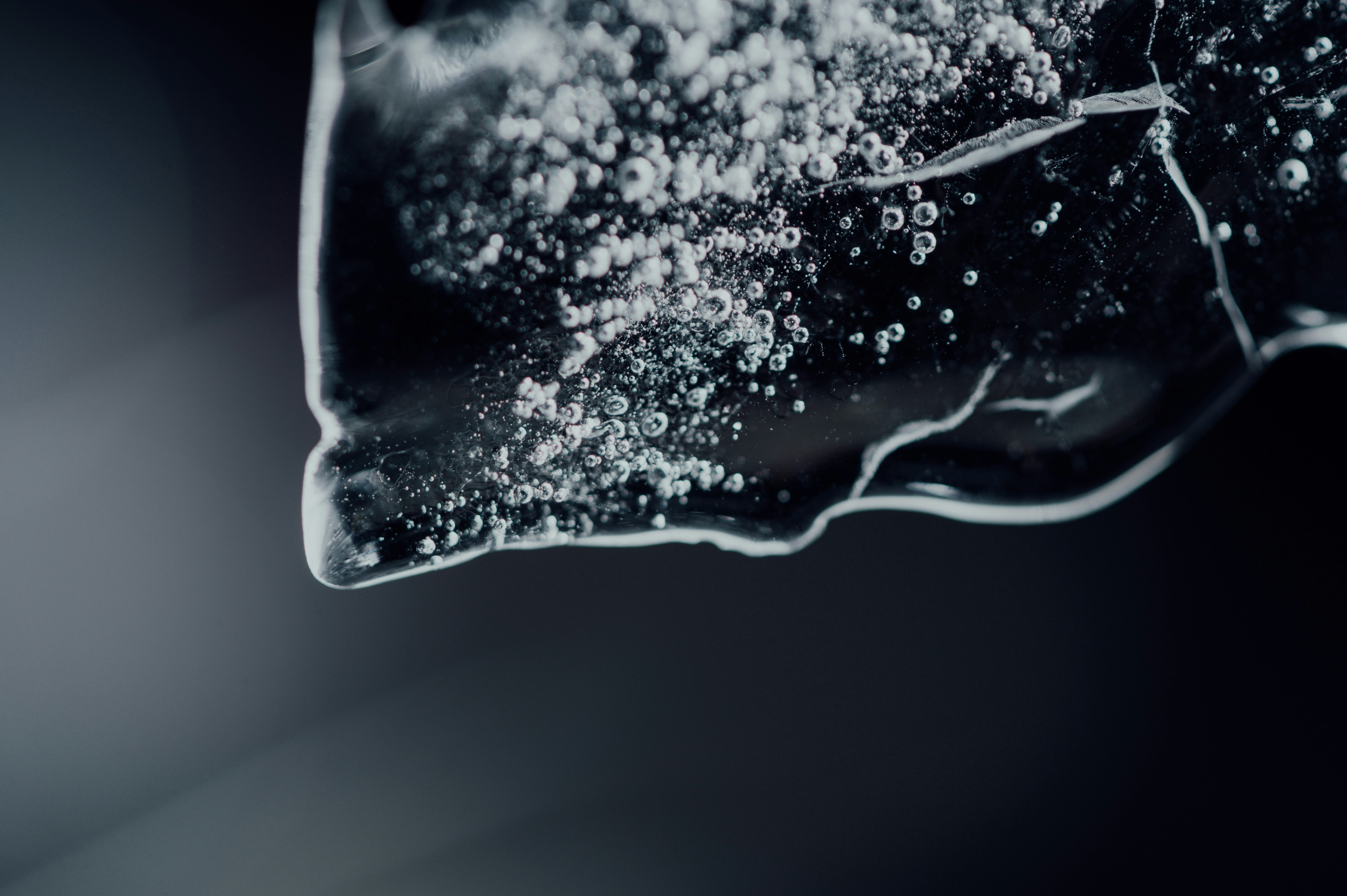 Photo by chuttersnap